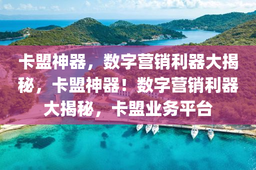卡盟神器，数字营销利器大揭秘，卡盟神器！数字营销利器大揭秘，卡盟业务平台