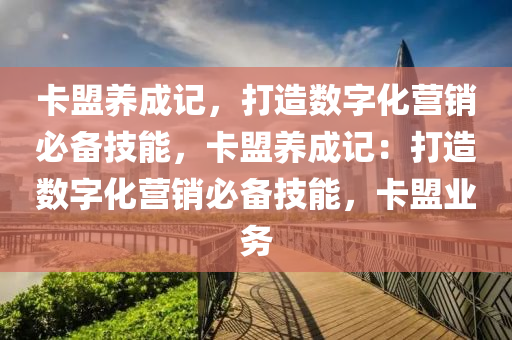 卡盟养成记，打造数字化营销必备技能，卡盟养成记：打造数字化营销必备技能，卡盟业务