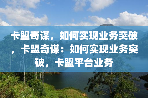 卡盟奇谋，如何实现业务突破，卡盟奇谋：如何实现业务突破，卡盟平台业务