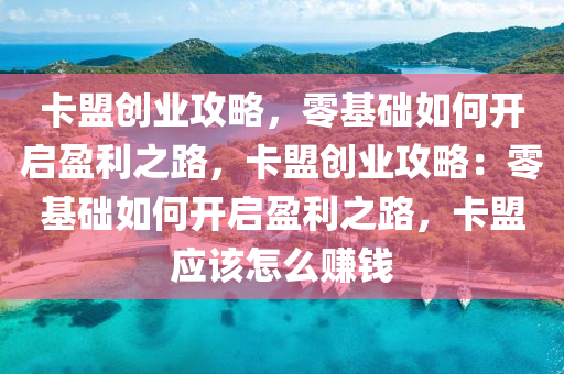 卡盟创业攻略，零基础如何开启盈利之路，卡盟创业攻略：零基础如何开启盈利之路，卡盟应该怎么赚钱
