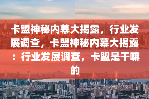 卡盟神秘内幕大揭露，行业发展调查，卡盟神秘内幕大揭露：行业发展调查，卡盟是干嘛的