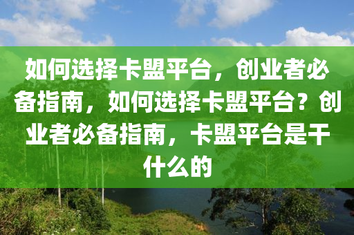 如何选择卡盟平台，创业者必备指南，如何选择卡盟平台？创业者必备指南，卡盟平台是干什么的