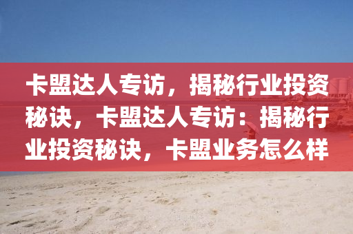 卡盟达人专访，揭秘行业投资秘诀，卡盟达人专访：揭秘行业投资秘诀，卡盟业务怎么样