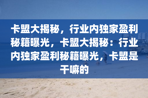 卡盟大揭秘，行业内独家盈利秘籍曝光，卡盟大揭秘：行业内独家盈利秘籍曝光，卡盟是干嘛的