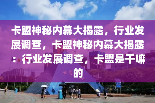 卡盟神秘内幕大揭露，行业发展调查，卡盟神秘内幕大揭露：行业发展调查，卡盟是干嘛的