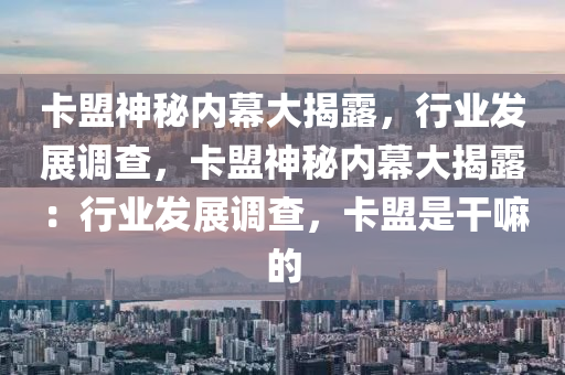 卡盟神秘内幕大揭露，行业发展调查，卡盟神秘内幕大揭露：行业发展调查，卡盟是干嘛的
