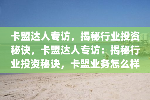卡盟达人专访，揭秘行业投资秘诀，卡盟达人专访：揭秘行业投资秘诀，卡盟业务怎么样