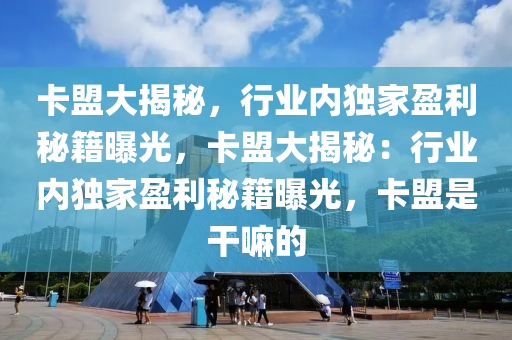 卡盟大揭秘，行业内独家盈利秘籍曝光，卡盟大揭秘：行业内独家盈利秘籍曝光，卡盟是干嘛的