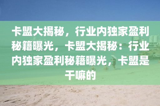 卡盟大揭秘，行业内独家盈利秘籍曝光，卡盟大揭秘：行业内独家盈利秘籍曝光，卡盟是干嘛的