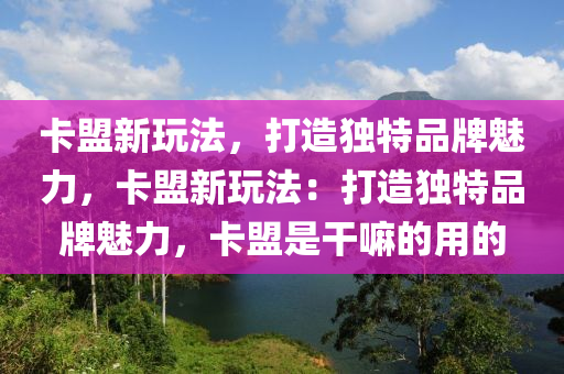 卡盟新玩法，打造独特品牌魅力，卡盟新玩法：打造独特品牌魅力，卡盟是干嘛的用的