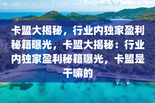 卡盟大揭秘，行业内独家盈利秘籍曝光，卡盟大揭秘：行业内独家盈利秘籍曝光，卡盟是干嘛的