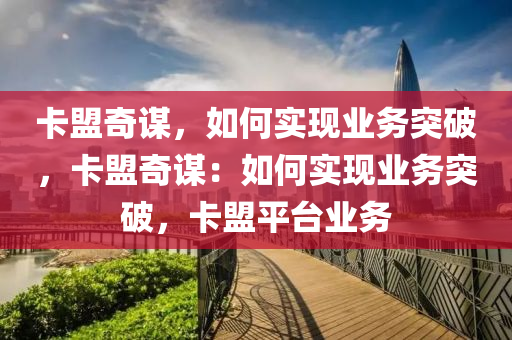 卡盟奇谋，如何实现业务突破，卡盟奇谋：如何实现业务突破，卡盟平台业务