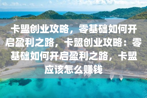 卡盟创业攻略，零基础如何开启盈利之路，卡盟创业攻略：零基础如何开启盈利之路，卡盟应该怎么赚钱