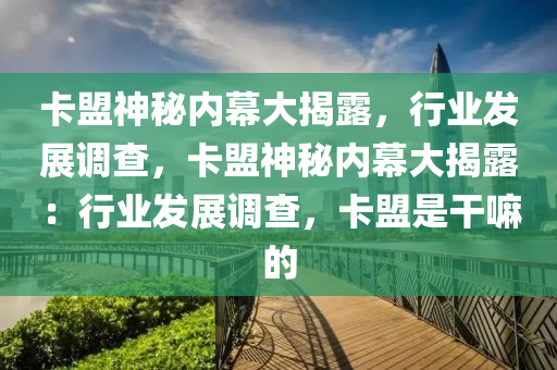 卡盟神秘内幕大揭露，行业发展调查，卡盟神秘内幕大揭露：行业发展调查，卡盟是干嘛的