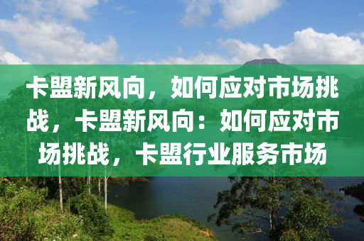 卡盟新风向，如何应对市场挑战，卡盟新风向：如何应对市场挑战，卡盟行业服务市场