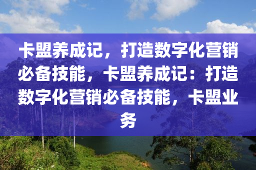 卡盟养成记，打造数字化营销必备技能，卡盟养成记：打造数字化营销必备技能，卡盟业务