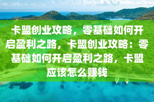 卡盟创业攻略，零基础如何开启盈利之路，卡盟创业攻略：零基础如何开启盈利之路，卡盟应该怎么赚钱