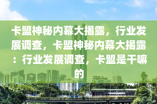 卡盟神秘内幕大揭露，行业发展调查，卡盟神秘内幕大揭露：行业发展调查，卡盟是干嘛的