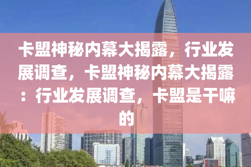 卡盟神秘内幕大揭露，行业发展调查，卡盟神秘内幕大揭露：行业发展调查，卡盟是干嘛的