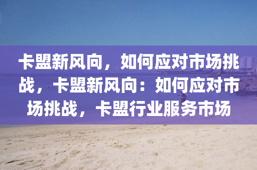 卡盟新风向，如何应对市场挑战，卡盟新风向：如何应对市场挑战，卡盟行业服务市场