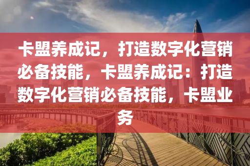 卡盟养成记，打造数字化营销必备技能，卡盟养成记：打造数字化营销必备技能，卡盟业务