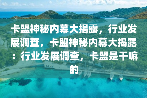卡盟神秘内幕大揭露，行业发展调查，卡盟神秘内幕大揭露：行业发展调查，卡盟是干嘛的