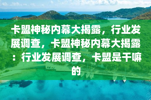 卡盟神秘内幕大揭露，行业发展调查，卡盟神秘内幕大揭露：行业发展调查，卡盟是干嘛的