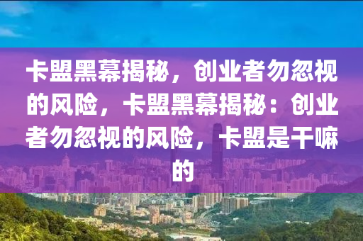 卡盟黑幕揭秘，创业者勿忽视的风险，卡盟黑幕揭秘：创业者勿忽视的风险，卡盟是干嘛的