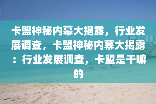 卡盟神秘内幕大揭露，行业发展调查，卡盟神秘内幕大揭露：行业发展调查，卡盟是干嘛的